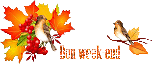 automn-oiseau1