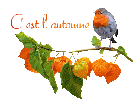 aut21104