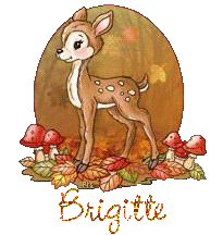 automne21191