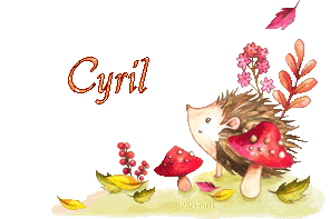 fall-21192