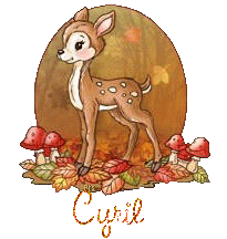 automne21194
