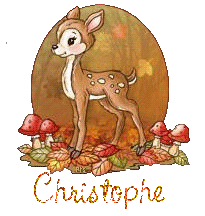 automne21194