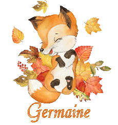 renardeau 23104
