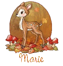 automne21194