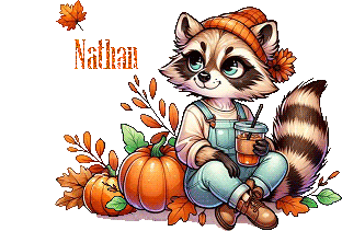 raton 24101