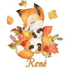 renardeau 23104
