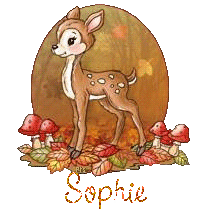 automne21194