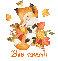 renardeau 23104