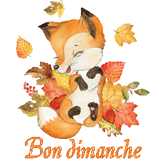 renardeau 23104