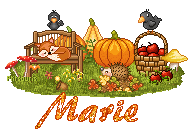 pixel-21099