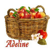 automne21109