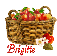 automne21109