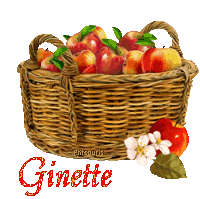automne21109