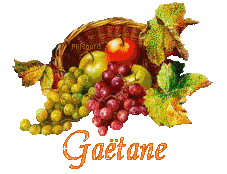 automne21113