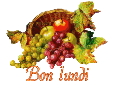 automne21113