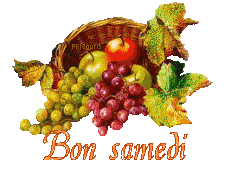 automne21113