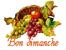 automne21113