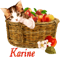 automne21109