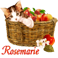 automne21109