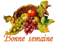 automne21113