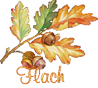 automne21091