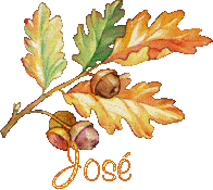 automne21091