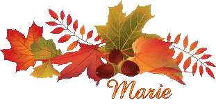 automne-22132
