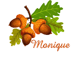 automne-23133
