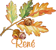 automne21091
