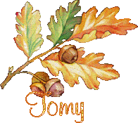 automne21091