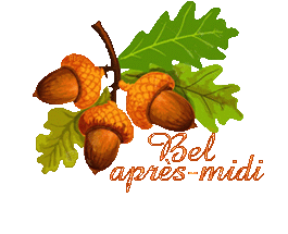 automne-23133
