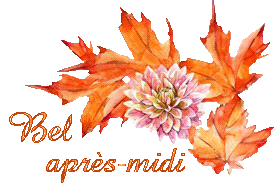 automne-23120