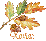 automne21091