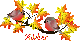 bird-23107