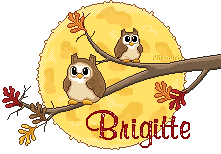 hibou-aut21098