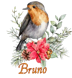 bird-22138