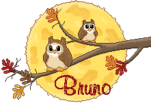hibou-aut21098