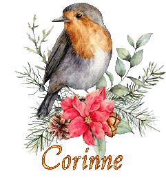 bird-22138