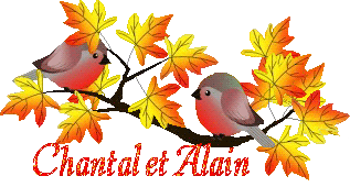 bird-23107