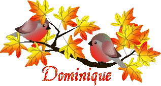 bird-23107