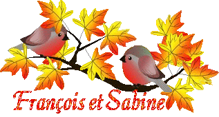 bird-23107