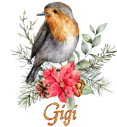 bird-22138