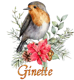 bird-22138