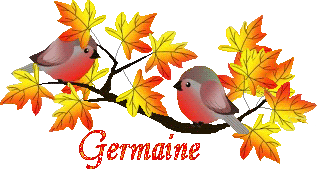 bird-23107