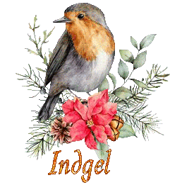 bird-22138