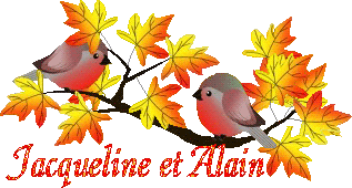 bird-23107