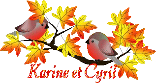 bird-23107