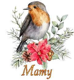 bird-22138