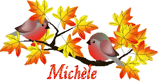 bird-23107