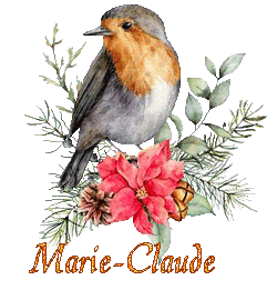 bird-22138